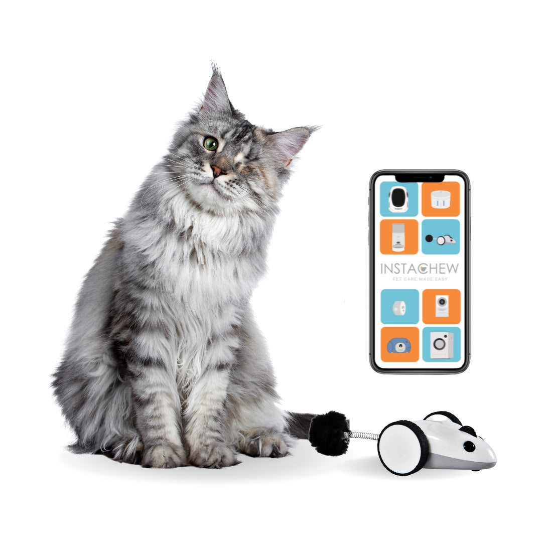 INSTACHEW Purechase Smart Mouse Toy, App Enabled Toy, Chasing Toy, Toy for Cats, Fun Toy, Dog Toy, Remote Control Toy for Pets, Mouse Toy-9