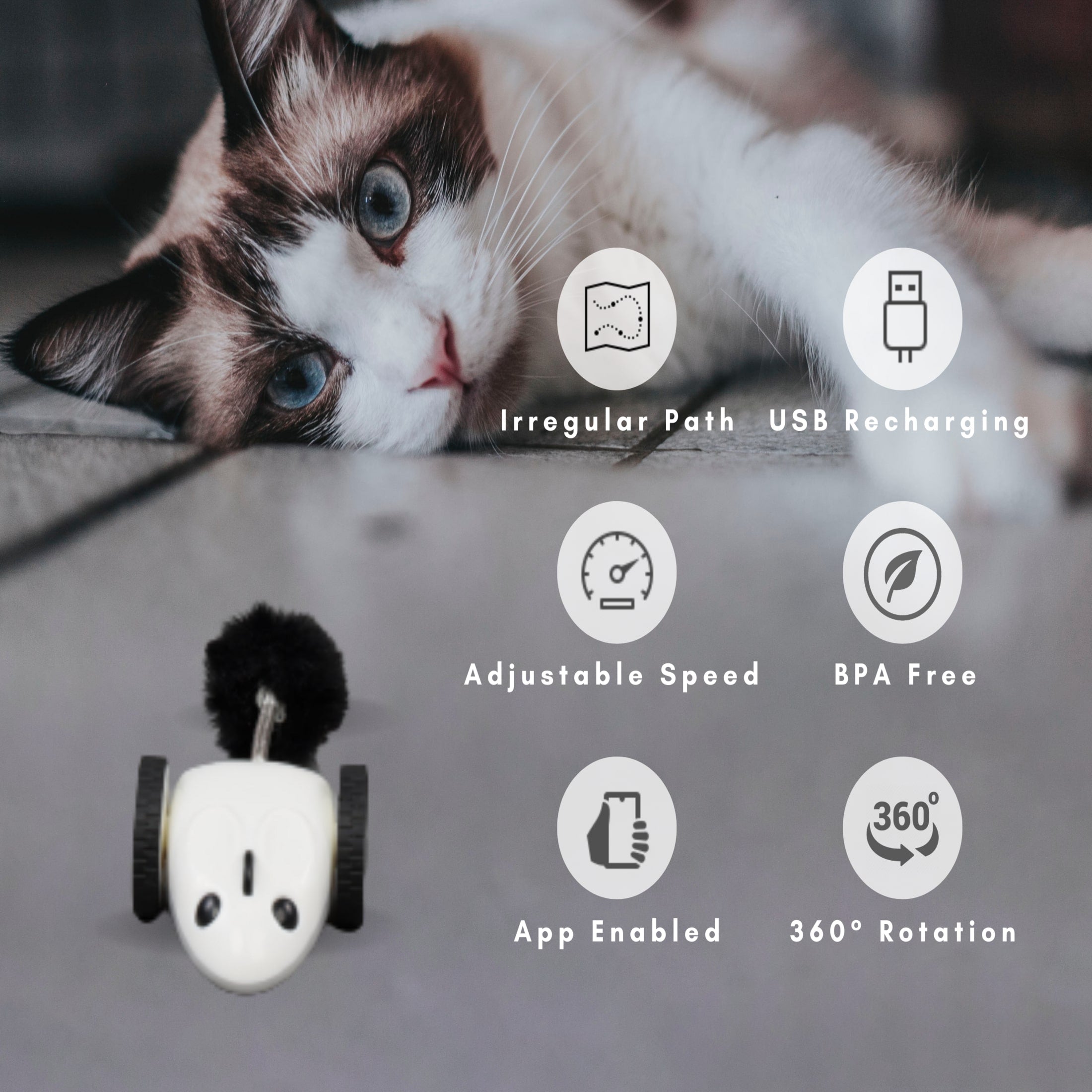 INSTACHEW Purechase Smart Mouse Toy, App Enabled Toy, Chasing Toy, Toy for Cats, Fun Toy, Dog Toy, Remote Control Toy for Pets, Mouse Toy-1
