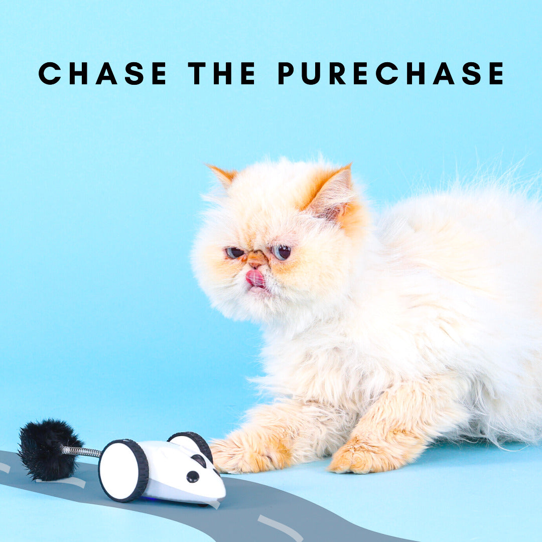 INSTACHEW Purechase Smart Mouse Toy, App Enabled Toy, Chasing Toy, Toy for Cats, Fun Toy, Dog Toy, Remote Control Toy for Pets, Mouse Toy-3