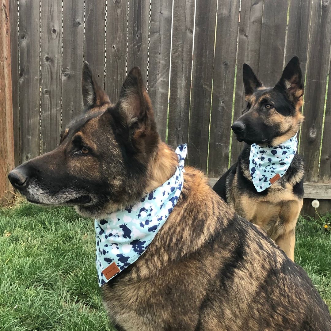 The Paws Corner® Dog Bandana-6
