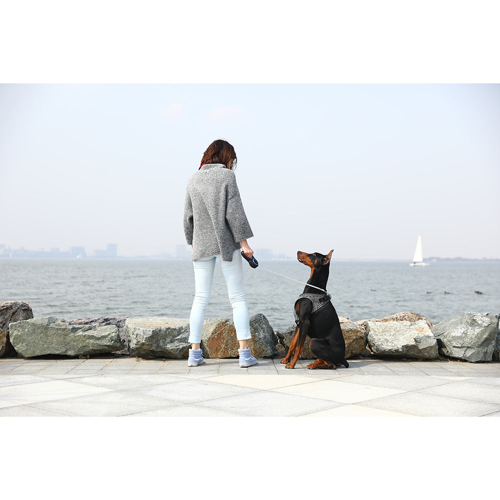 Instachew PETKIT Air Fly Dog Harness-13