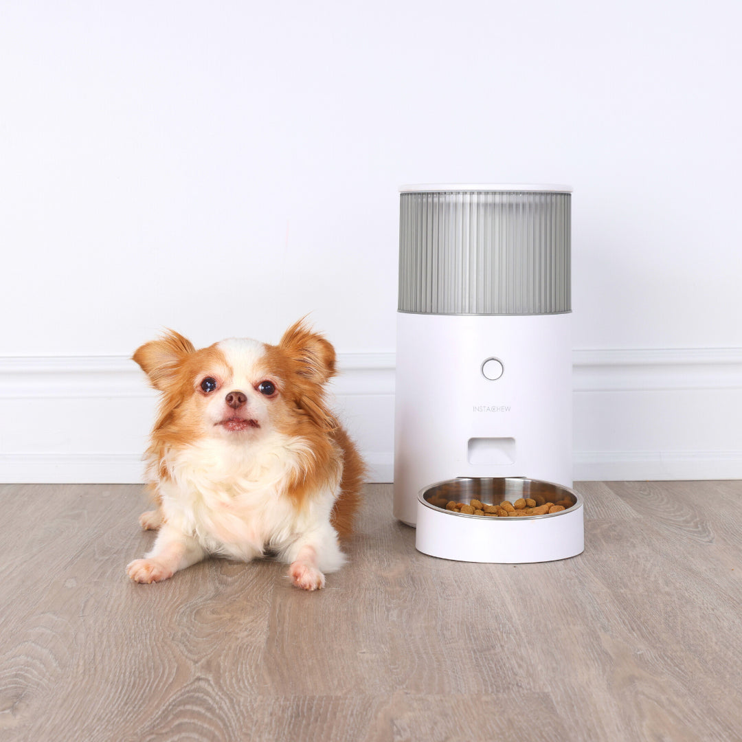 INSTACHEW Purechew Mini Smart Automatic Pet Feeder, App Enabled, Food Bin for Pets, Automates Feeding, Holds Fresh Food, Schedules Feeding times, Automatic Feeding, Scheduled Meals, Portion Controller, Food Bowl for Cats, Food Bowl for Dogs-2