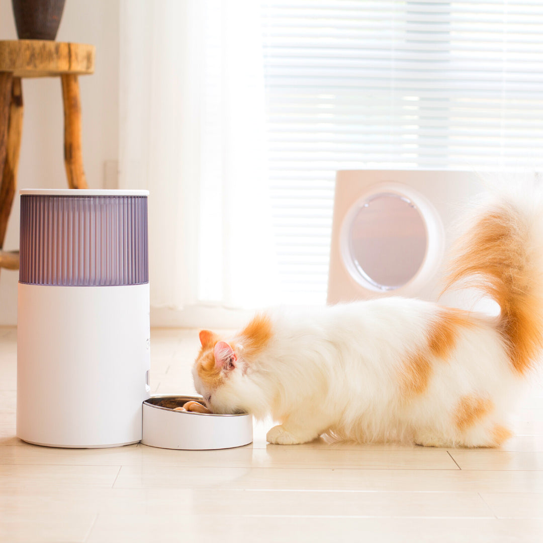 INSTACHEW Purechew Mini Smart Automatic Pet Feeder, App Enabled, Food Bin for Pets, Automates Feeding, Holds Fresh Food, Schedules Feeding times, Automatic Feeding, Scheduled Meals, Portion Controller, Food Bowl for Cats, Food Bowl for Dogs-4