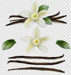 ORGANIC DEODORANT- VANILLA MUSK FRAGRANCE - FOR WOMEN ITEM CODE: 647535806792-1