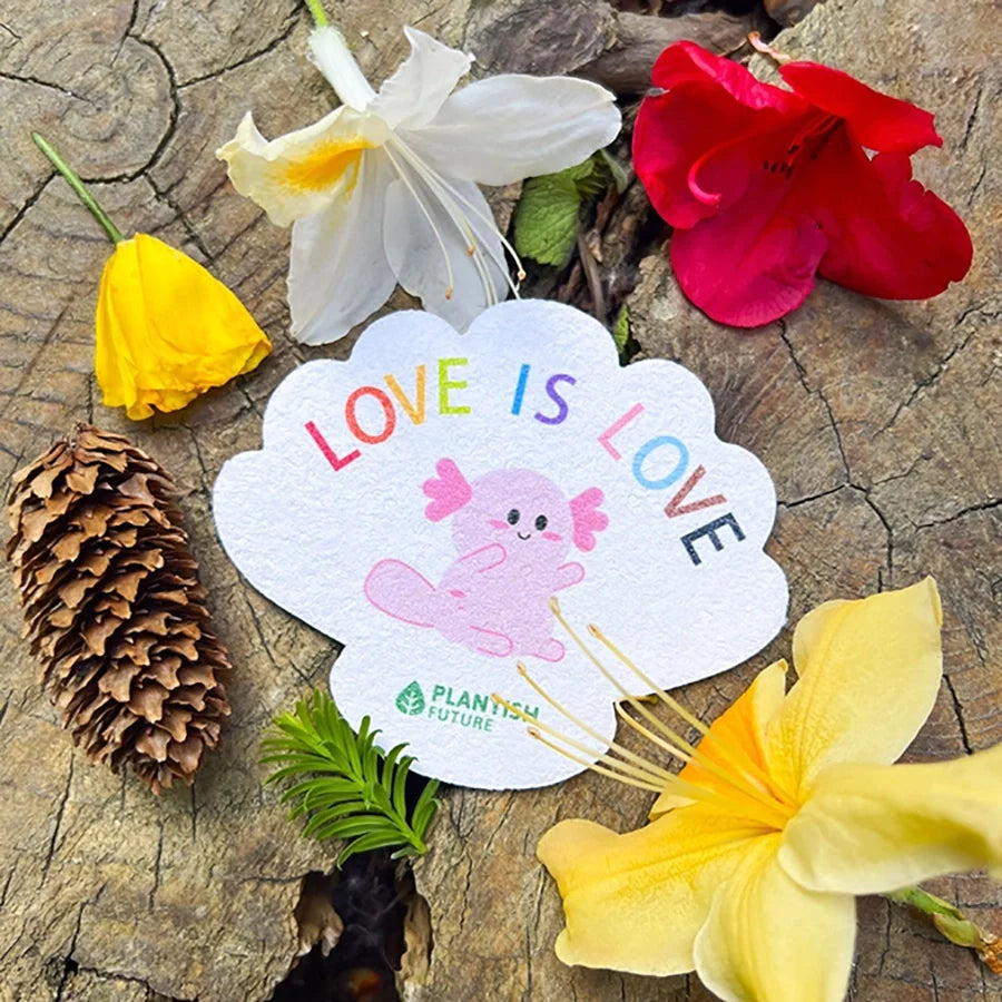 Set of 3 Progress Pride Pop up Sponges-5
