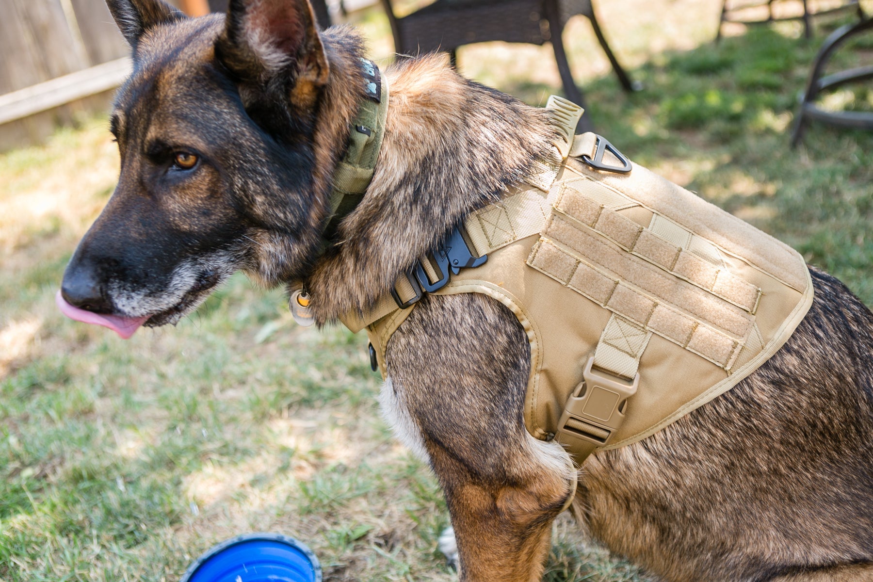 Tactical Dog Harness, Collar, and Leash Set-3