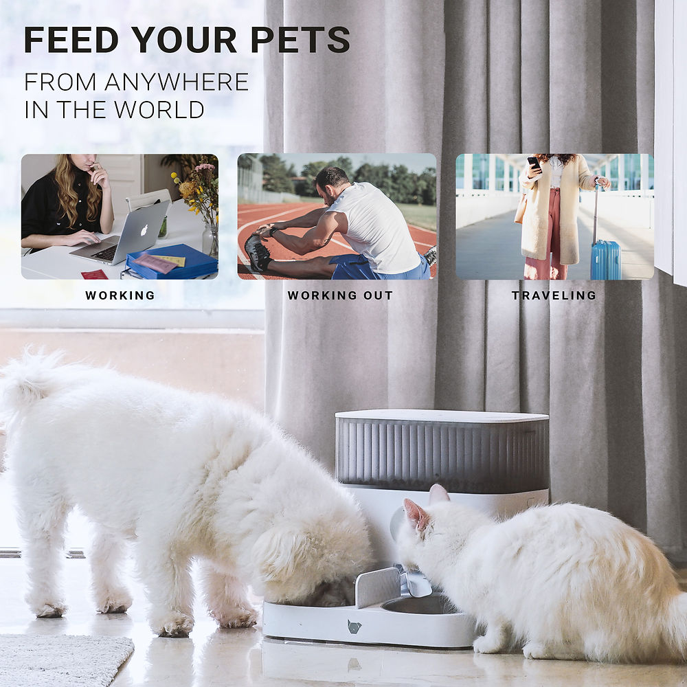 Instachew Purechew Double Smart Automatic Pet Feeder, Automates Feeding with Portion Control-2