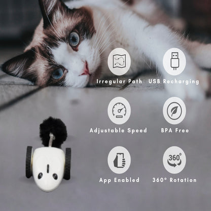 INSTACHEW Purechase Smart Mouse Toy, App Enabled Toy, Chasing Toy, Toy for Cats, Fun Toy, Dog Toy, Remote Control Toy for Pets, Mouse Toy-1