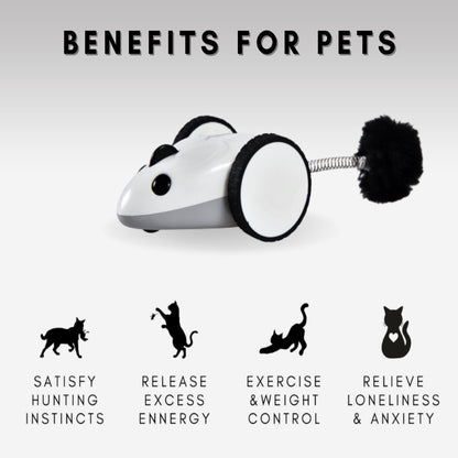 INSTACHEW Purechase Smart Mouse Toy, App Enabled Toy, Chasing Toy, Toy for Cats, Fun Toy, Dog Toy, Remote Control Toy for Pets, Mouse Toy-4