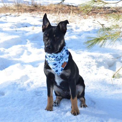 The Paws Corner® Dog Bandana-1