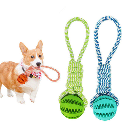 Rubber Ball Chew Toy with Cotton Rope | Dog Toy-0