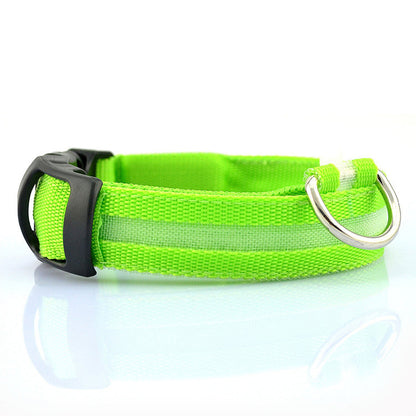 LED DOG Collar (USB Rechargeable)-6