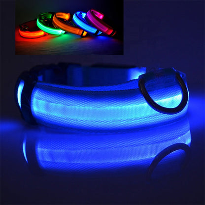 LED DOG Collar (USB Rechargeable)-1