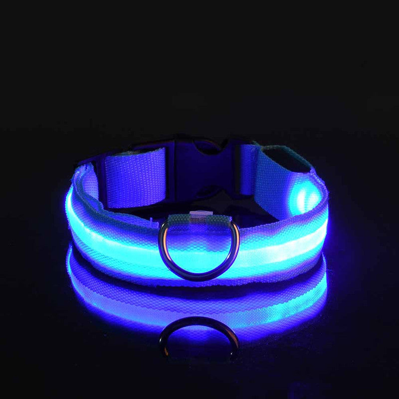 LED DOG Collar (USB Rechargeable)-9