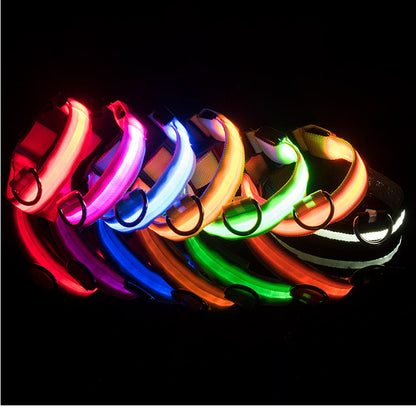 LED DOG Collar (USB Rechargeable)-12