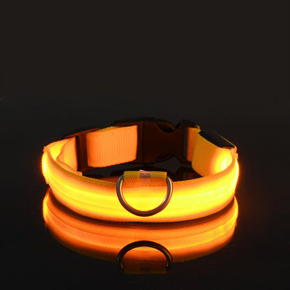LED DOG Collar (USB Rechargeable)-8
