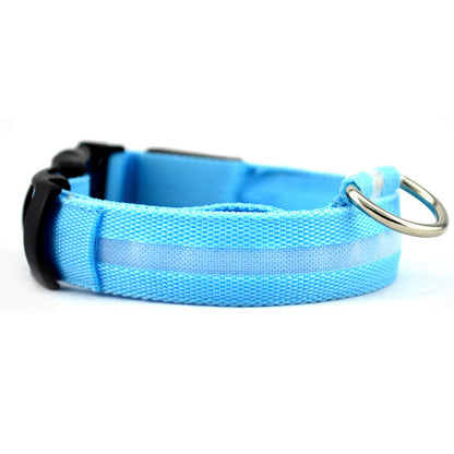 LED DOG Collar (USB Rechargeable)-2