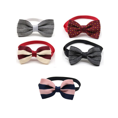 Pet Bow Ties (Random colors)-0