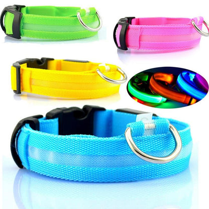 LED DOG Collar (USB Rechargeable)-4