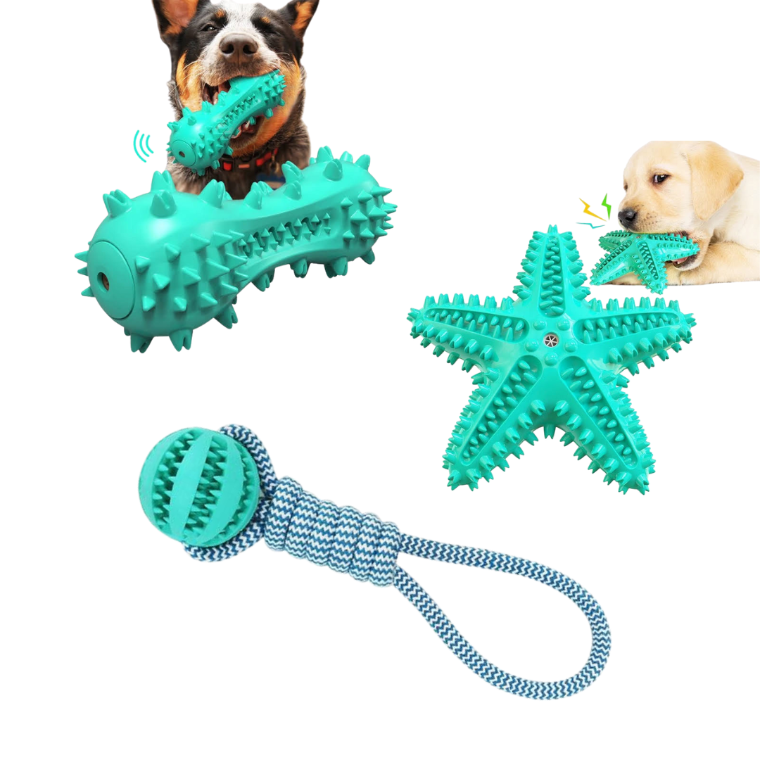 3 Pack Squeaky Toothbrush &amp; Cotton Rope Ball Dog Toys-0