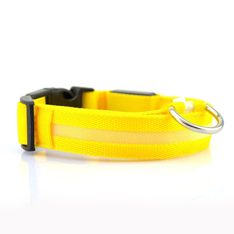 LED DOG Collar (USB Rechargeable)-7